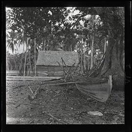 [Narau] A Present-Day Fishing Canoe Drawn up in the Shade of the Same Tree