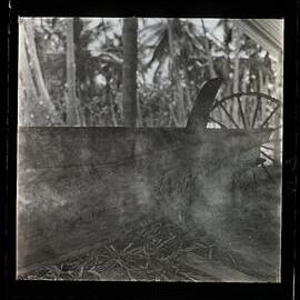 [Narau] Prow of an Old Canoe Showing the Characteristic Horn