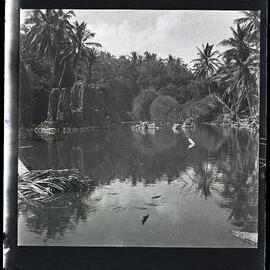 [Narau] An Inland Lagoon in Ijuw District Showing Coral Pinnacles and Creeper Covered Coral Rocks in the Background