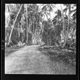 [Narau] On the Road from Anibari to Ijuw, the Road Passing Through a Natural Gateway of Coral Pinnacles