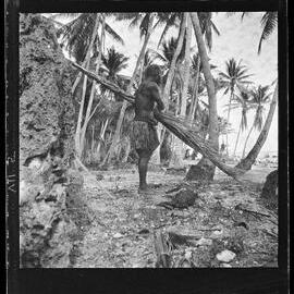 [Narau] Diaikwen of Meneŋ Making a Torch with which to Singe a Piglet he has Killed