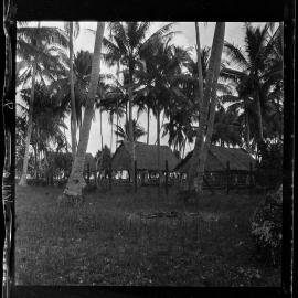[Narau] A View of the Southwest End of the Quarantine Station