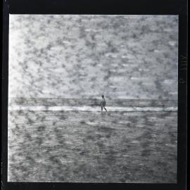 [Narau] Fishing with a Throwing-net on the Reef at Low Tide