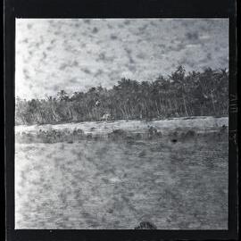 [Narau] View of Part of Yarren Coast from the Reef