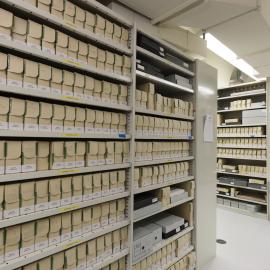 Sydney University Museum's Historic Photography Collection Store