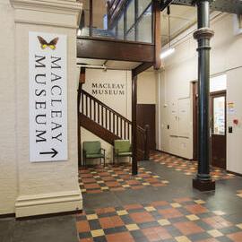 Macleay Museum Western Foyer Entrance and Landing