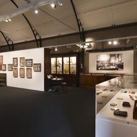 Macleay Museum Display of Butterflies