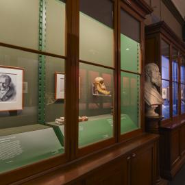 Macleay Museum Display Cabinet