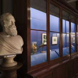 Macleay Museum Display Cabinet
