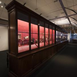 Macleay Museum Display Cabinet