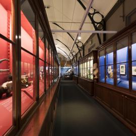 Macleay Museum Display Cabinet