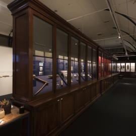 Macleay Museum Display Cabinet
