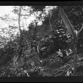 [Manum Island, New Guinea] Weeding in this Garden. Note the Steep Slope of the Garden