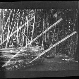 [Manum Island, New Guinea] Making a Large Fish Trap: Later Stages