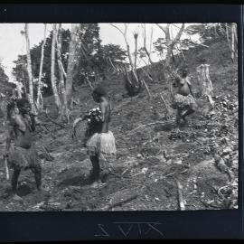 [Manum Island, New Guinea] Women Distributing Taro, One to Each Hole Dug