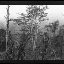 [Manum Island, New Guinea] Women Digging Holes