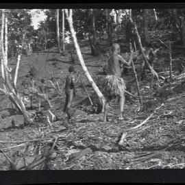 [Manum Island, New Guinea] Men and Women Digging Holes