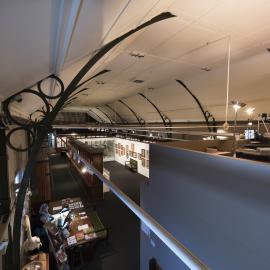 Detail of Macleay Museum Ceiling