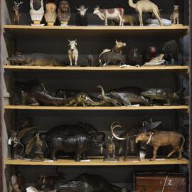 Macleay Museum Storage Cabinets