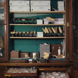 Macleay Museum Storage Cabinets