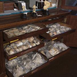Macleay Museum Storage Cabinets