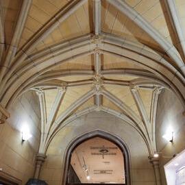 Nicholson Museum Reception and Shop