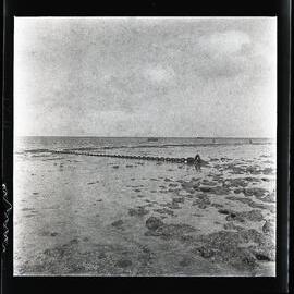 [Narau] One of the Great Cables Anchored into the Reef, to which the Buoys are Attached