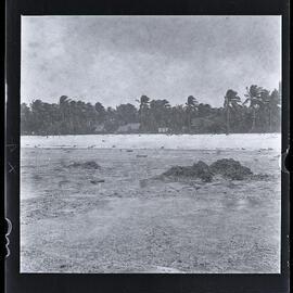 [Narau] A Homestead in Anabar, from the Reef at Low Tide