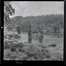 [Narau] Men Catching ibija in one of the Ijuw Lagoons