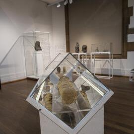 Death Magic Exhibition at Nicholson Museum