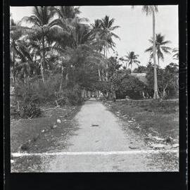 [Narau] The Road Leading from Boe to Buoda at the Boe End