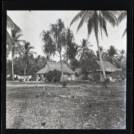 [Narau] The Homestead in Boe where Lenina Lives