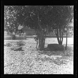 [Narau] Altar Stones of Taburig Belonging to Chief Auweida From the North West Side