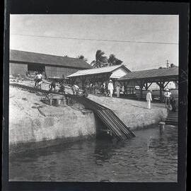 [Narau] The Nauruan Police Begin their Search