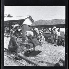 [Narau] A Close-up of the Search: Mau (in Glasses) Feeling a Pillow