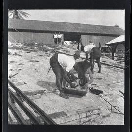 [Narau] A Banaban Policeman Searching; Note the Old Fashioned Bayo­ Nets used for Spearing Soap