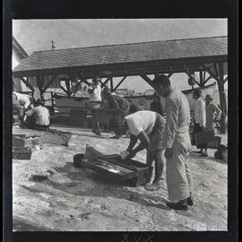 [Narau] Mau Searching a Wooden Box