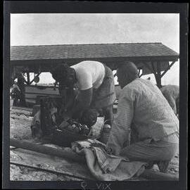 [Narau] A Close-up of Mau at Work