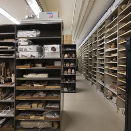 Nicholson Museum Store