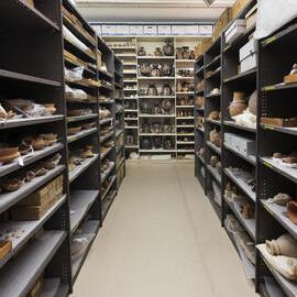 Pots on Shelves in the Nicholson Museum Store