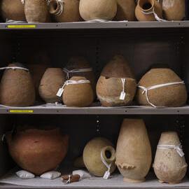 Pots on Shelves in the Nicholson Museum Store
