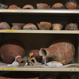 Pots on Shelves in the Nicholson Museum Store