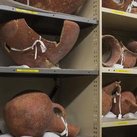 Pots on Shelves in the Nicholson Museum Store