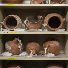 Pots on Shelves in the Nicholson Museum Store