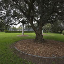 View of Tennis Courts on the Chau Chak Wing Museum Site