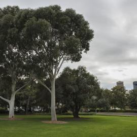 View of Tennis Courts on the Chau Chak Wing Museum Site