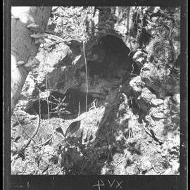 [Narau] The Cave where the Two Women Lived who Died from Eating the Octopus