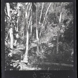 [Narau] Site of the Well from Which the Birds got Water while Build­ing the Canoe