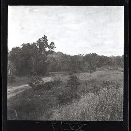 [Narau] Looking Eastwards on the Plateau Near the Wireless Station