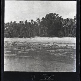 [Narau] The Place on the Beach of Nibök where the Ancestresses of Ranibök, Ernes and Irutsi Came to Land